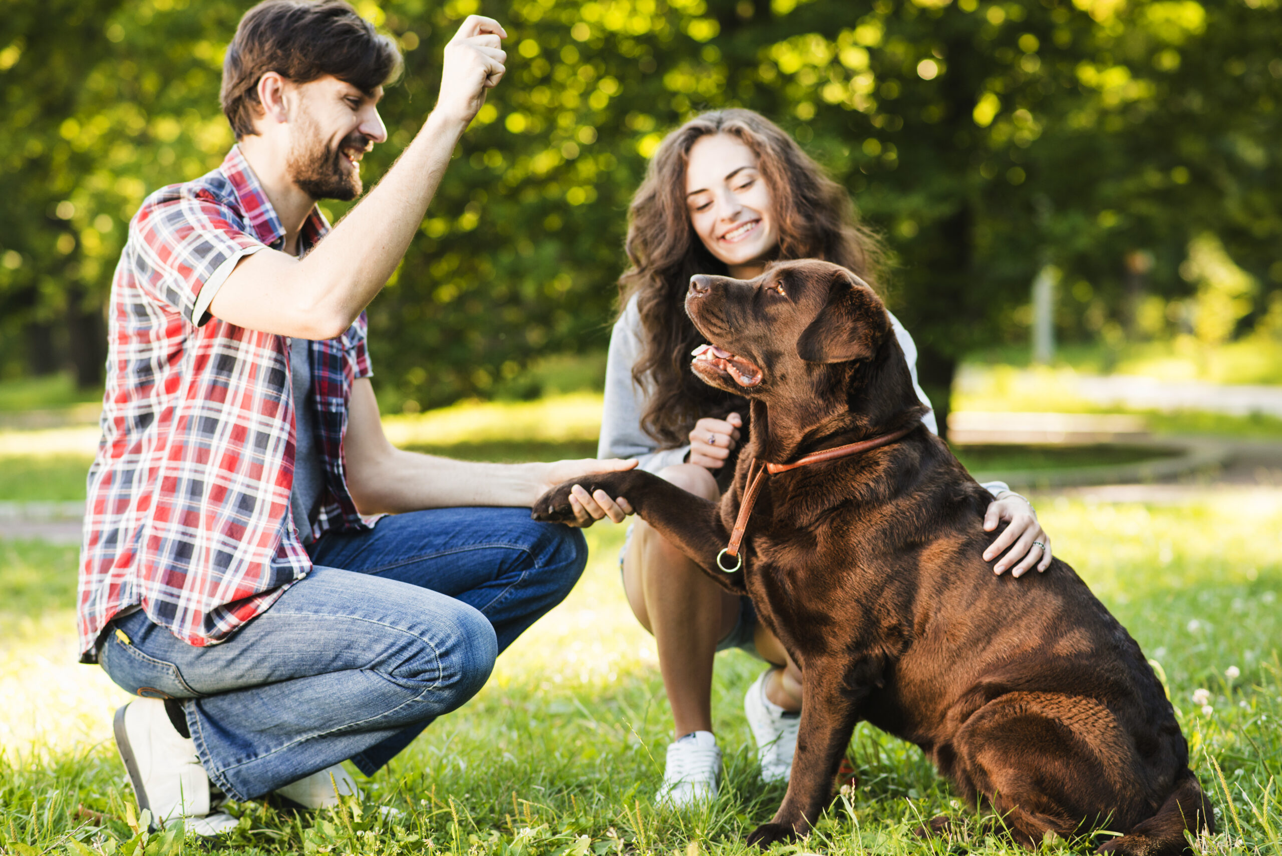 The Benefits of Having a Pet: More Than Just a Companion