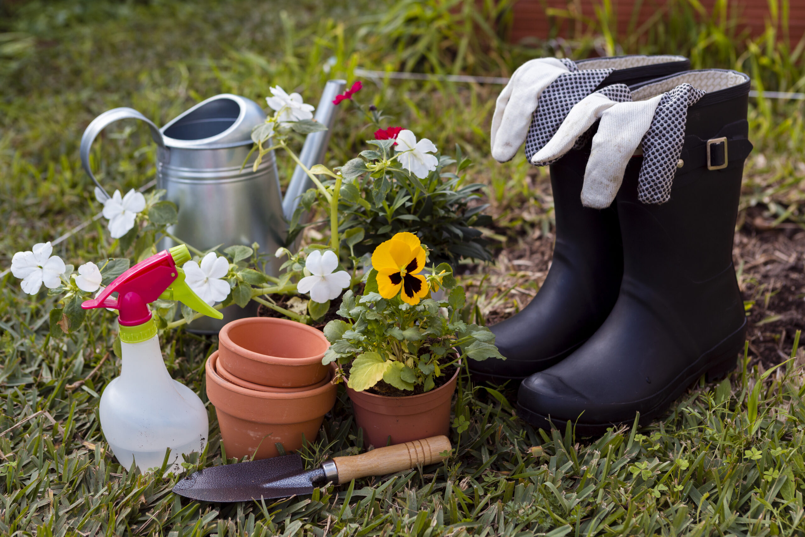 Maximizing Small Garden Spaces: Essential Tips for Urban Gardeners